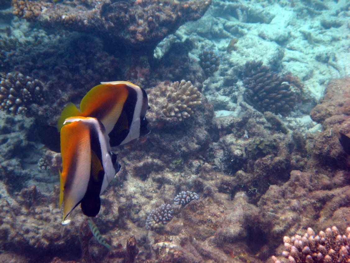 Photo00147